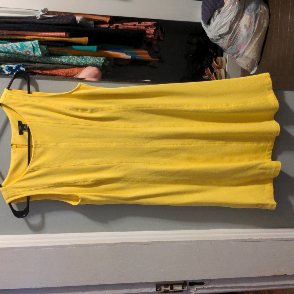 Ann Taylor dress size 4P